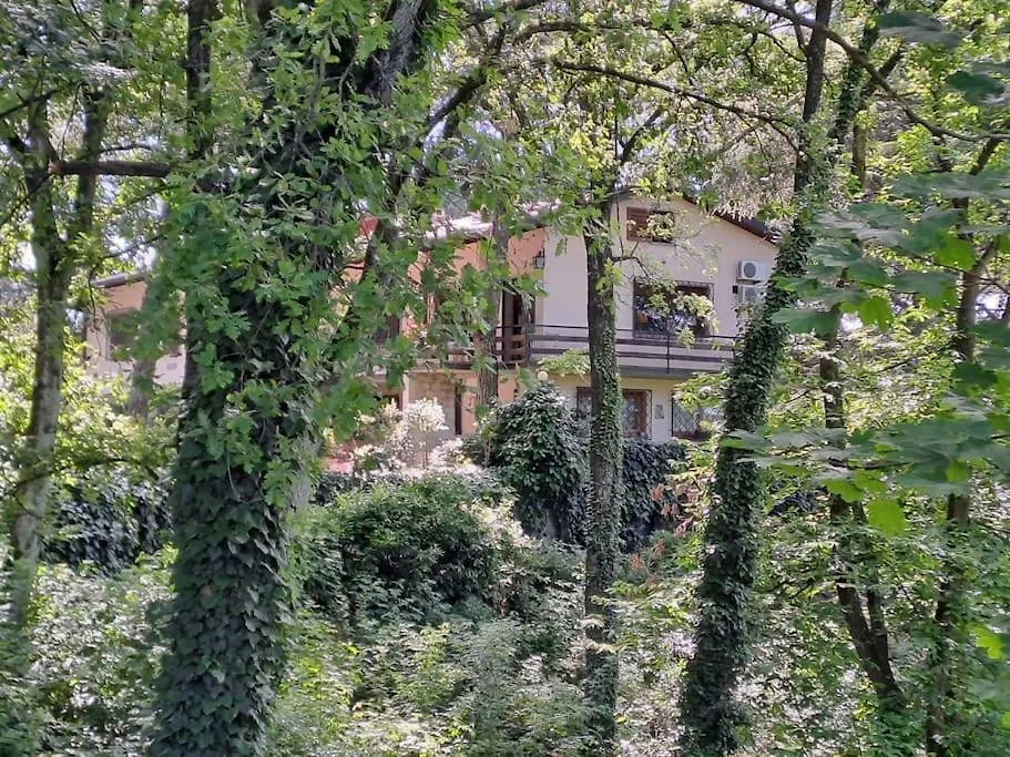 La Barca Nel Frutteto Natura E Relax In Collina Lagune