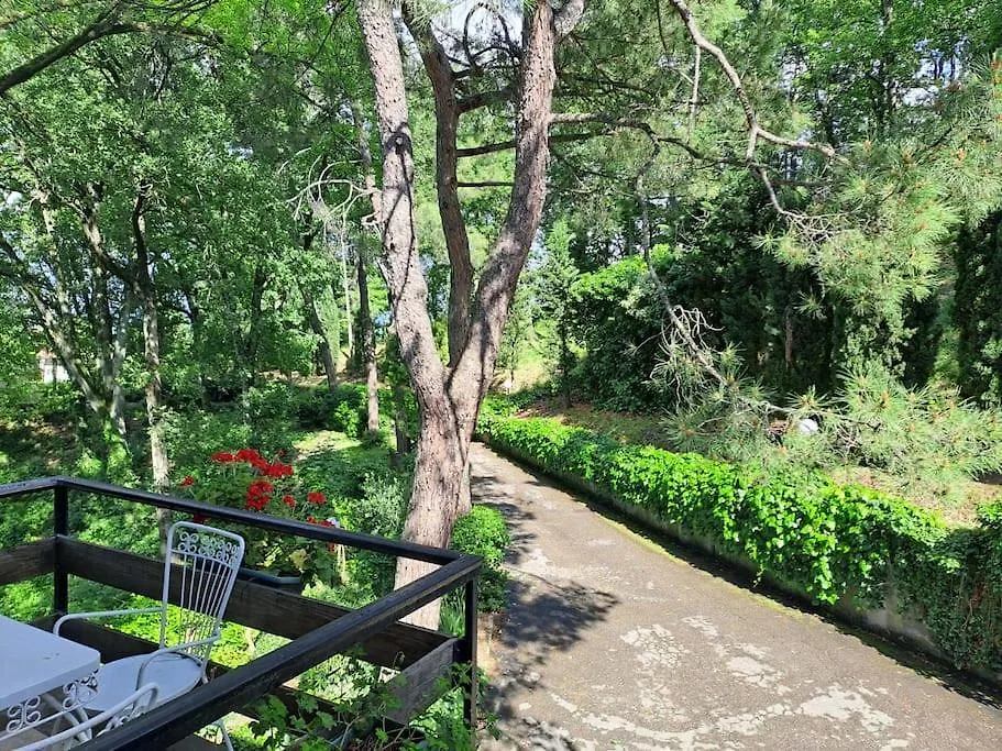 La Barca Nel Frutteto Natura E Relax In Collina Lagune 0*,