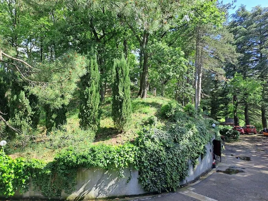 La Barca Nel Frutteto Natura E Relax In Collina Lagune